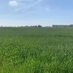 In Near The Apartment Nieuwpoort