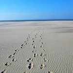 In Near The *