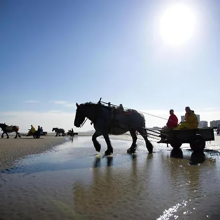 In Near The アパート *