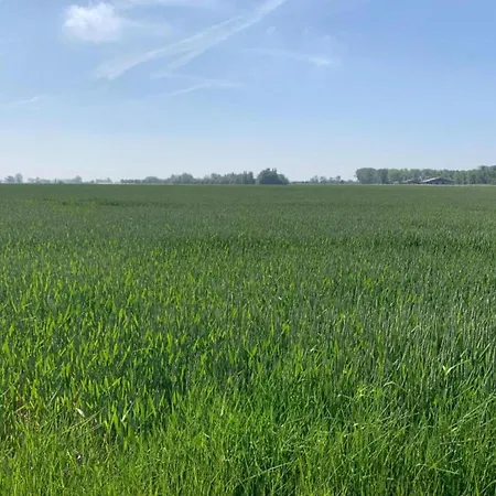 In Near The アパート ニーウポールト