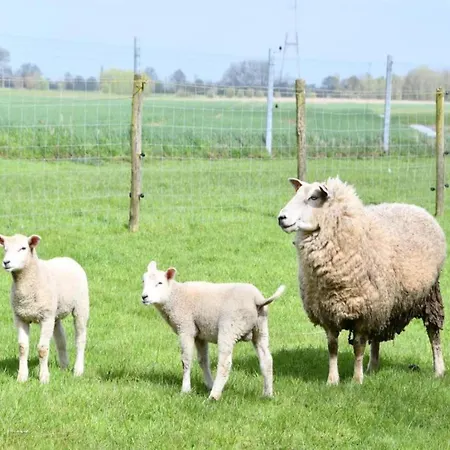 Apartamento In Near The Nieuwpoort