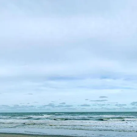 In Near The * ニーウポールト